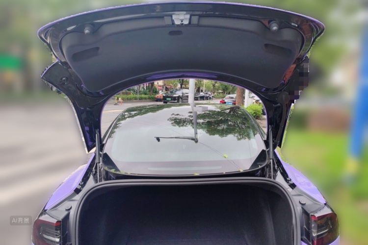 Tesla Model 3 2020 car image #21