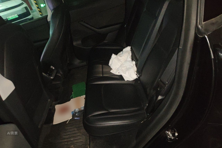 Tesla Model Y 2021 car image #19