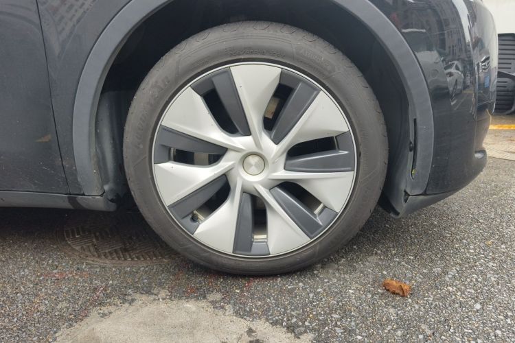 Tesla Model Y 2023 car image #6