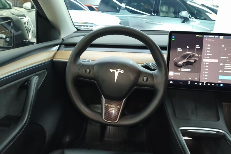 Tesla Model Y 2021 car image #15