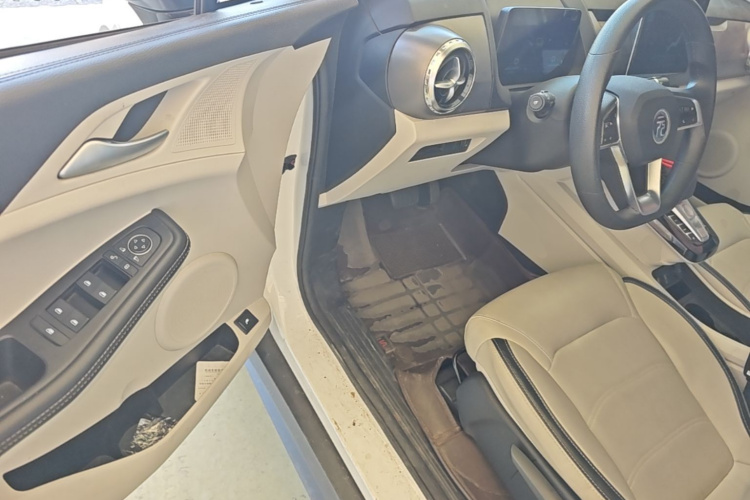 BYD Yuan Pro 2022 imagem de carro #16