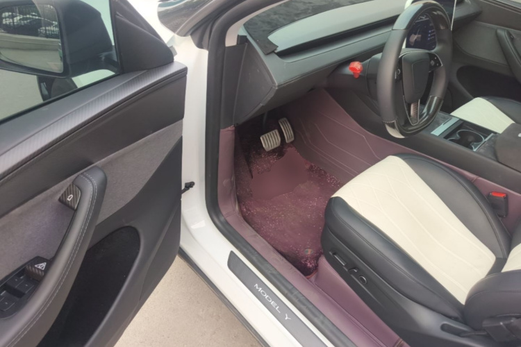 Tesla Model Y 2025 car image #16