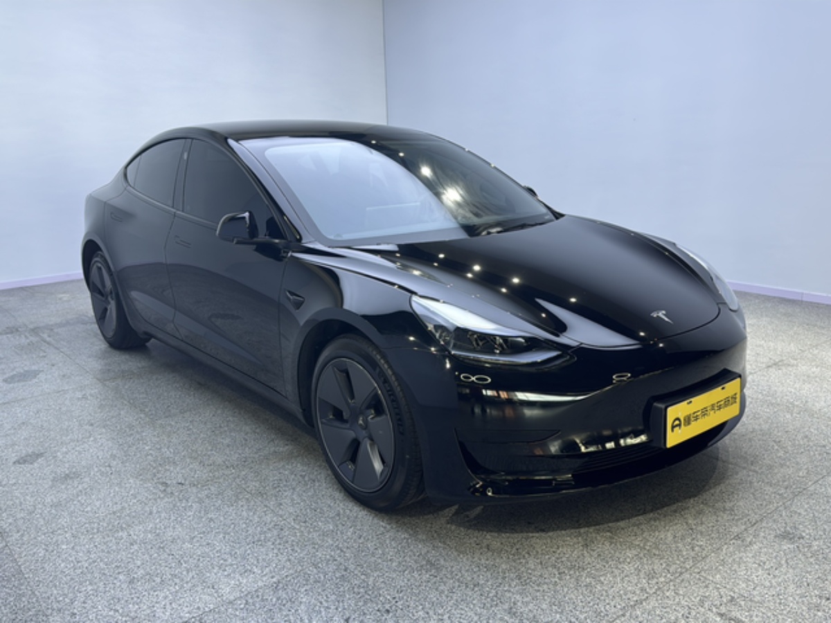 Tesla Model 3 2023 car image #3
