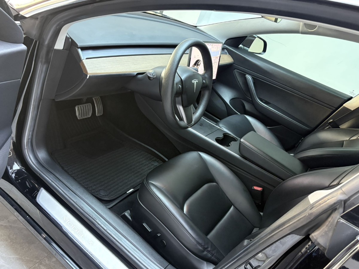 Tesla Model 3 2020 car image #4