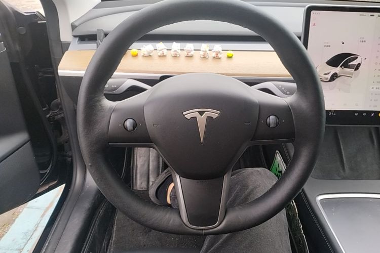 Tesla Model 3 2022 #15 Tesla Model 3 2022 car image #15