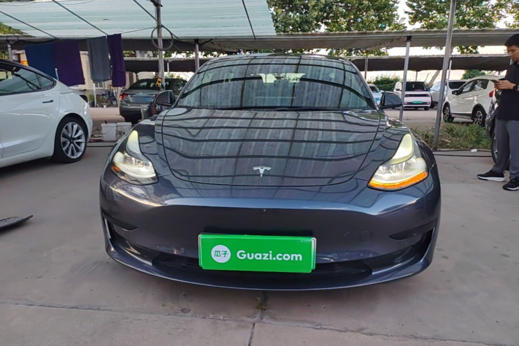 Tesla Model 3 2021 #3 Tesla Model 3 2021 car image #3