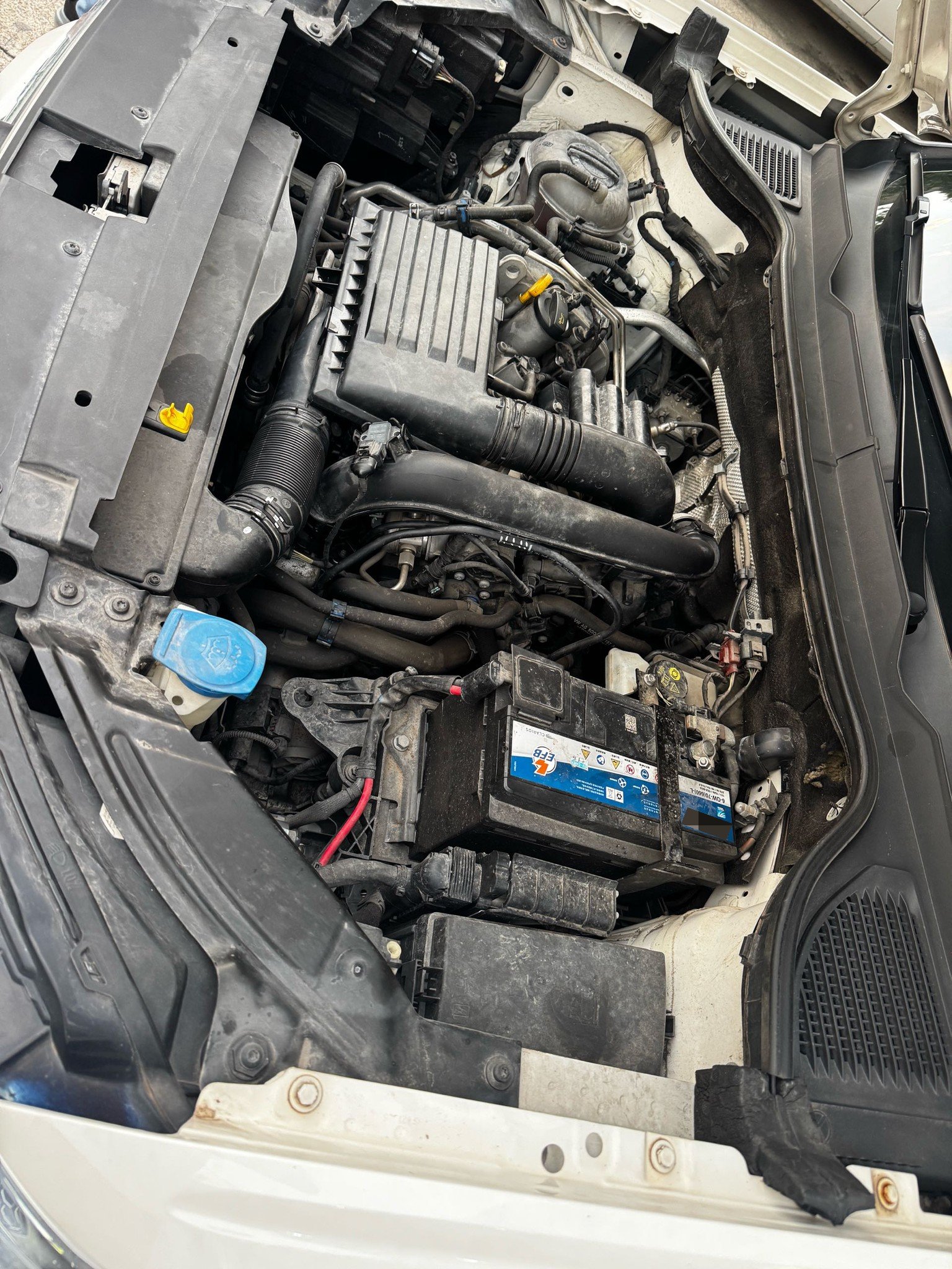 2019 immagine di auto #10