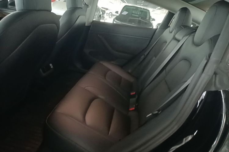 Tesla Model 3 2021 car image #17