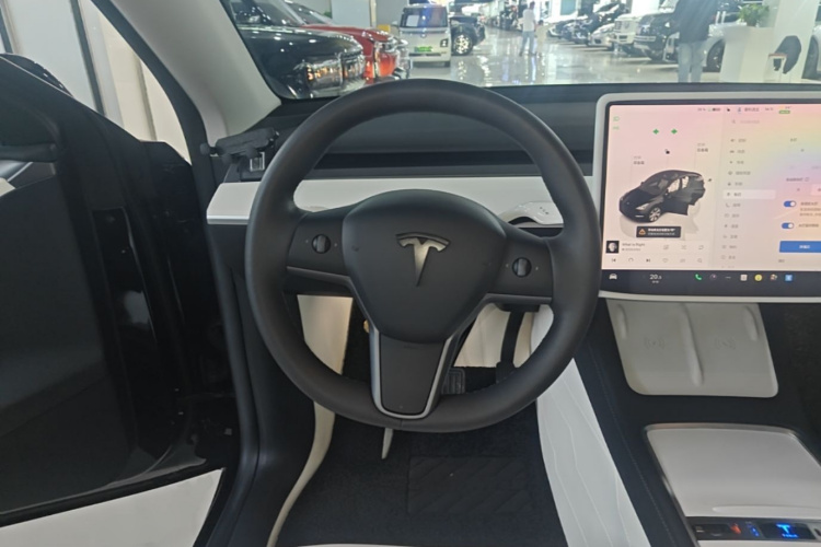 Tesla Model Y 2023 car image #11
