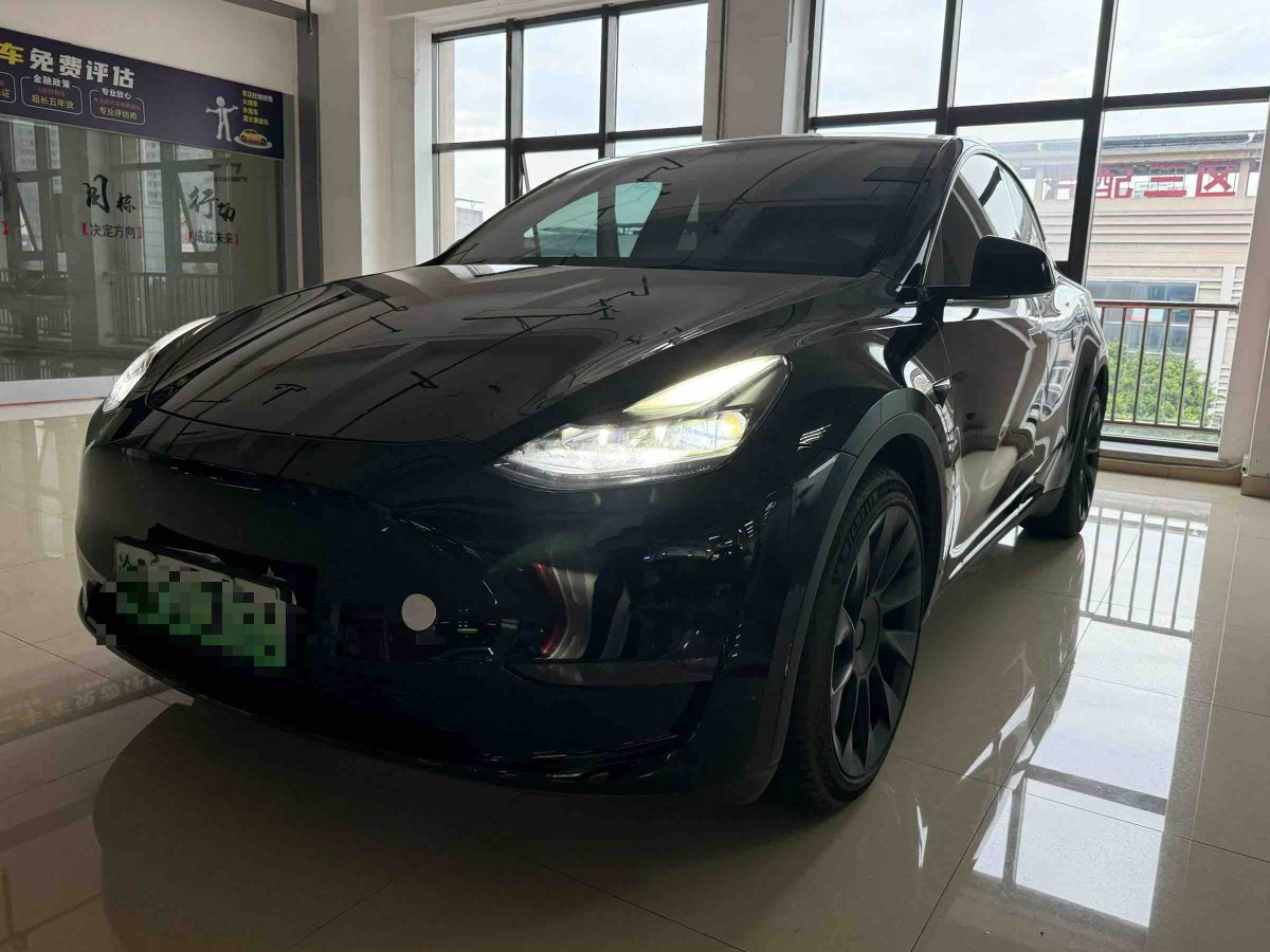 Tesla Model Y 2021 Tesla Model Y 2021 car image