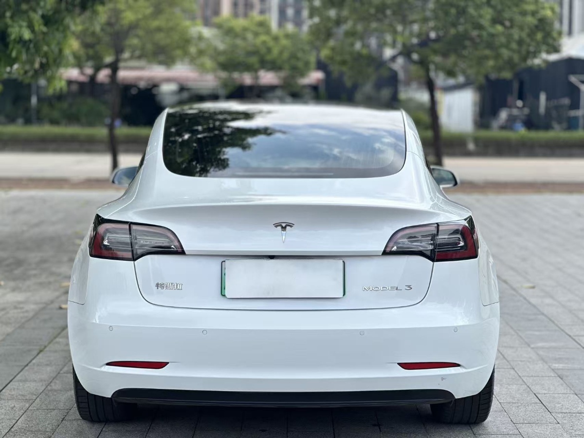 Tesla Model 3 2020 car image #8