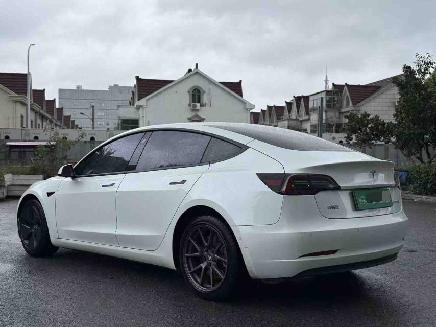 Tesla Model 3 2021 #6 Tesla Model 3 2021 car image #6