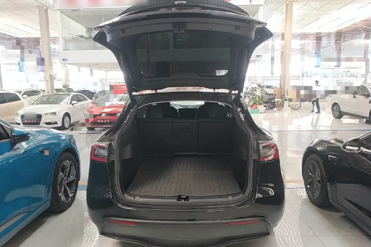 Tesla Model Y 2023 #19 Tesla Model Y 2023 car image #19
