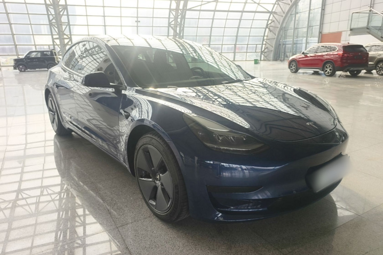 Tesla Model 3 2021 car image #4