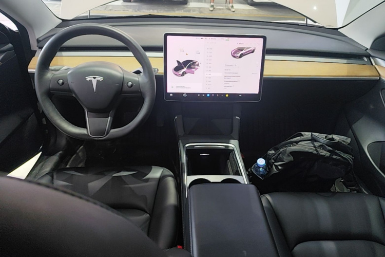 Tesla Model 3 2021 car image #10