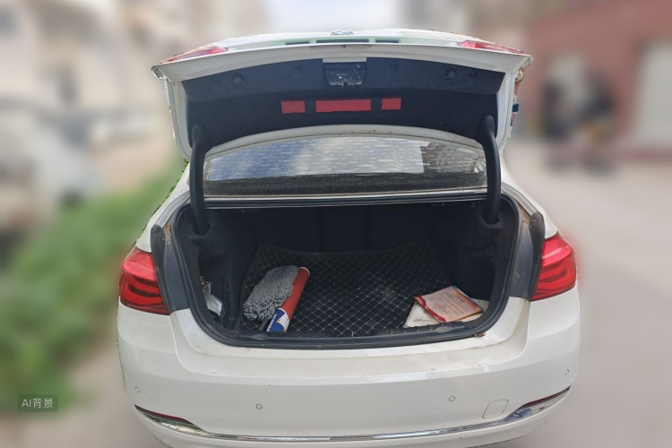 BMW 3 Series 2016 car image #21