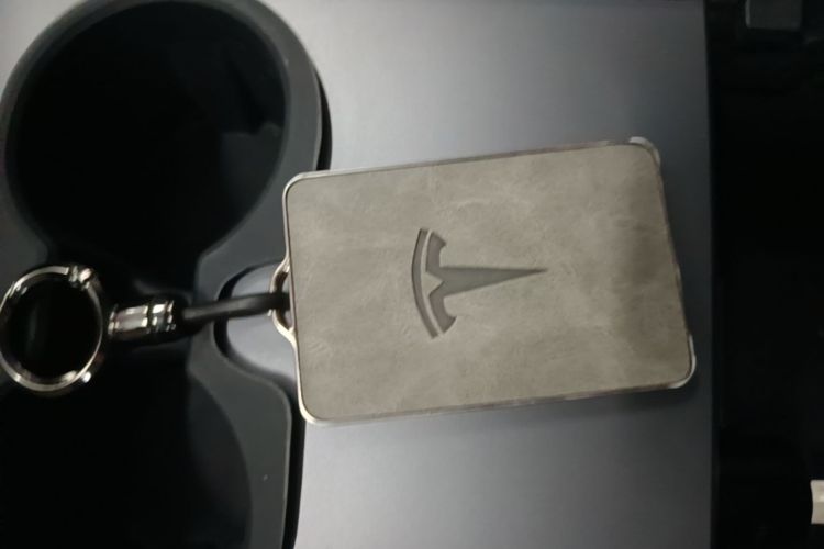 Tesla Model 3 2021 car image #9