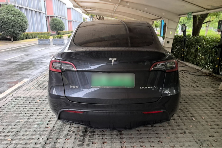 Tesla Model Y 2025 #6 Tesla Model Y 2025 car image #6