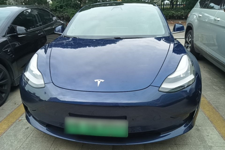 Tesla Model 3 2020 #3 Tesla Model 3 2020 car image #3