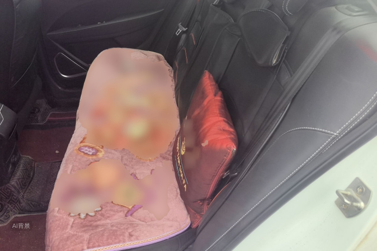 GEELY Emgrand 2021 car image #19