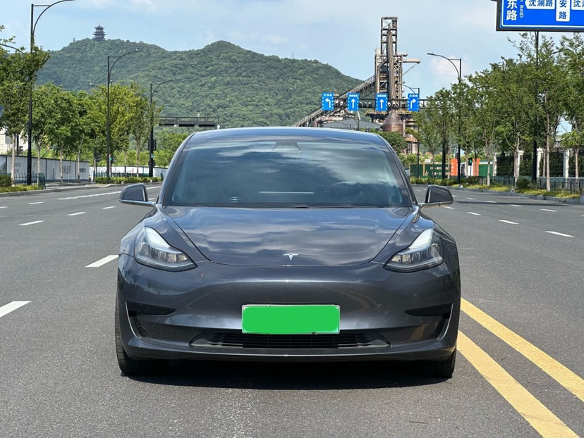 Tesla Model 3 2020 car image #2