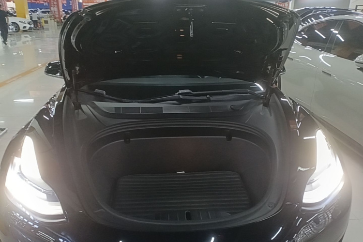 Tesla Model 3 2020 #20 Tesla Model 3 2020 car image #20