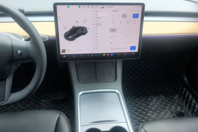 Tesla Model 3 2022 car image #13