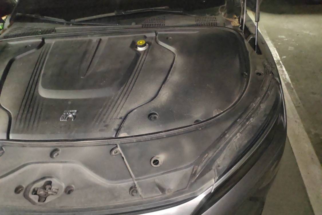 BYD Han 2021 #12 BYD Han 2021 imagen de coche #12