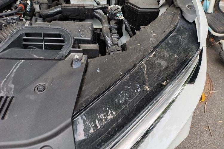 Honda CR-V 2024 imagen de coche #27