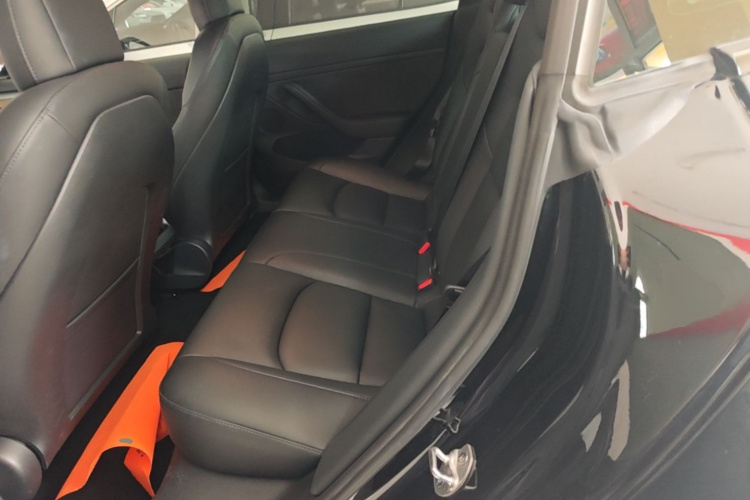 Tesla Model 3 2021 imagem de carro #17