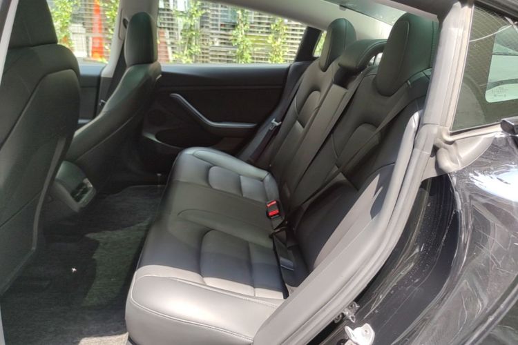 Tesla Model 3 2021 car image #17