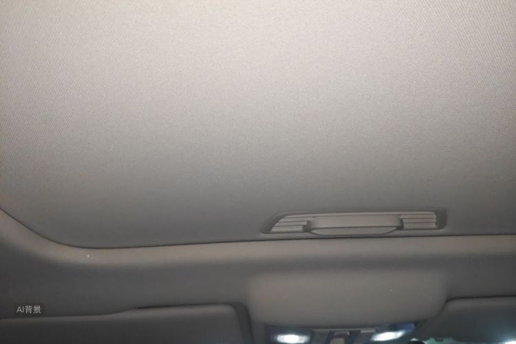 Volkswagen Lavida 2019 car image #20