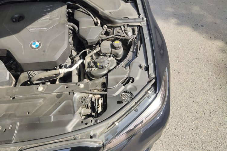 BMW 3 Series 2019 car image #29