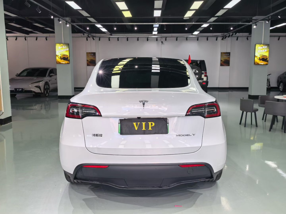 Tesla Model Y 2024 #8 Tesla Model Y 2024 car image #8