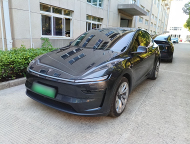 Tesla Model Y 2025 car image 