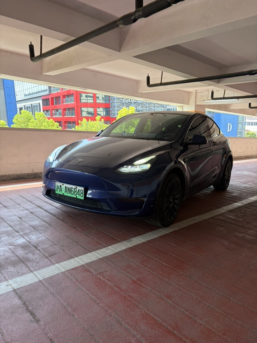 Tesla Model Y 2021 Tesla Model Y 2021 car image