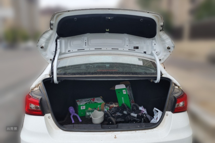 Chery Arrizo 5 2019 imagen de coche #21