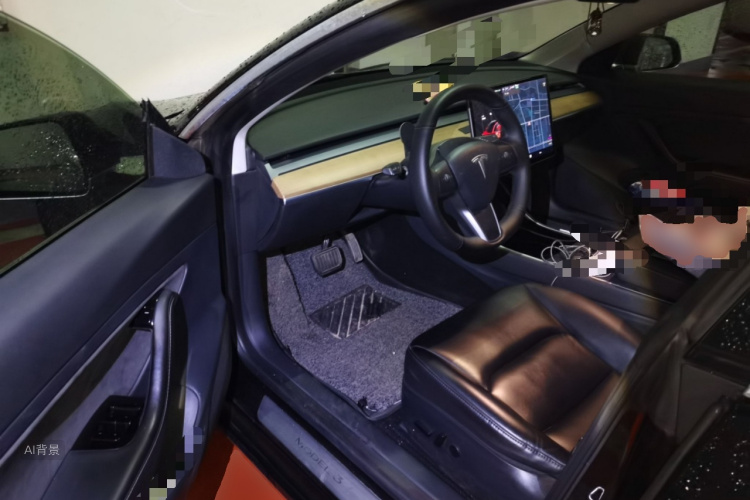 Tesla Model 3 2020 car image #18