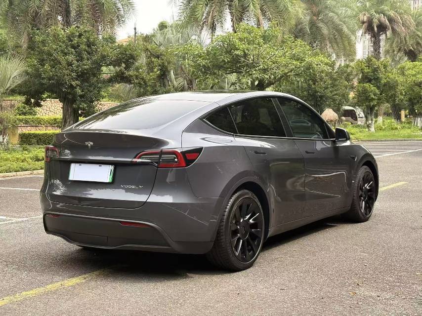 Tesla Model Y 2021 car image #6