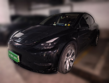 Tesla Model Y 2021 Tesla Model Y 2021 car image