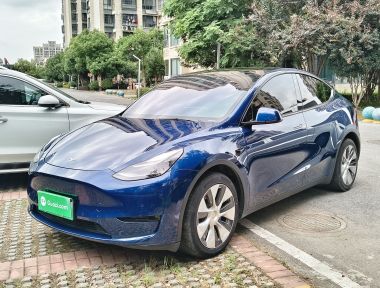 Tesla Model Y 2021 Tesla Model Y 2021 car image