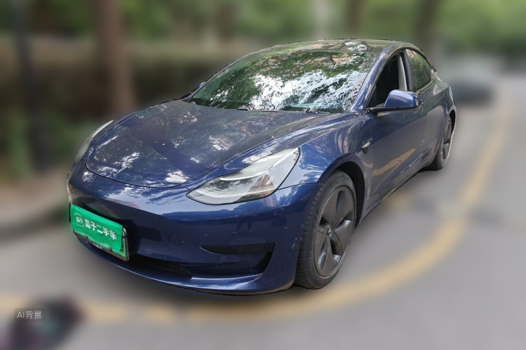 Tesla Model 3 2020 car image #2