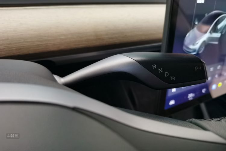 Tesla Model 3 2021 car image #16