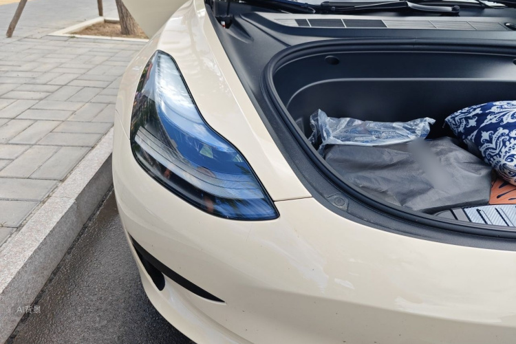 Tesla Model 3 2022 car image #8