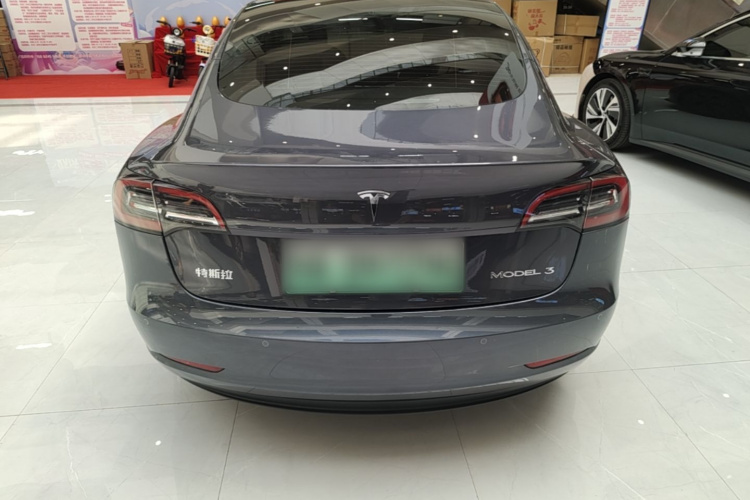 Tesla Model 3 2021 car image #6