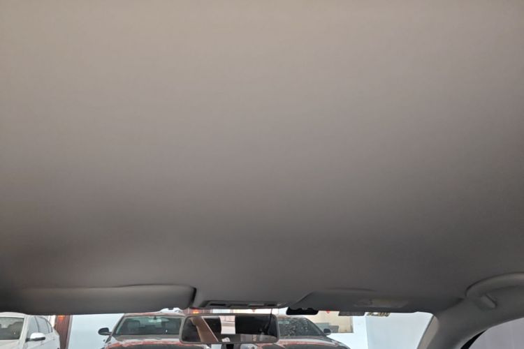 Volkswagen Bora 2019 car image #20