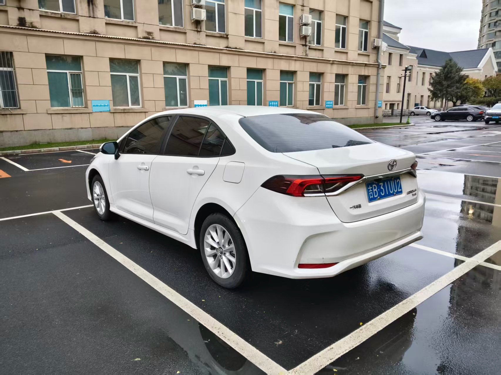 Toyota Corolla 2023 #7 Toyota Corolla 2023 car image #7