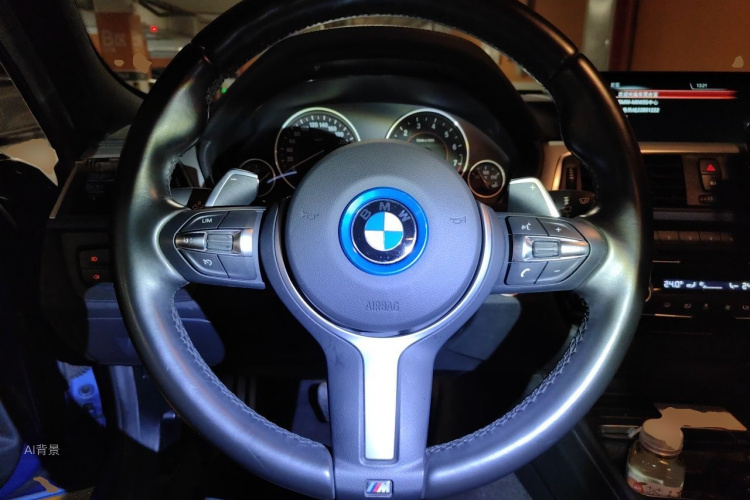 BMW 3 Series 2016 imagen de coche #12