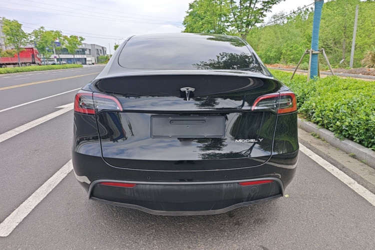 Tesla Model Y 2023 #6 Tesla Model Y 2023 car image #6