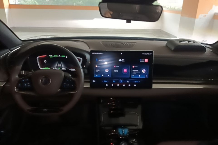 BYD Han 2022 imagen de coche #11